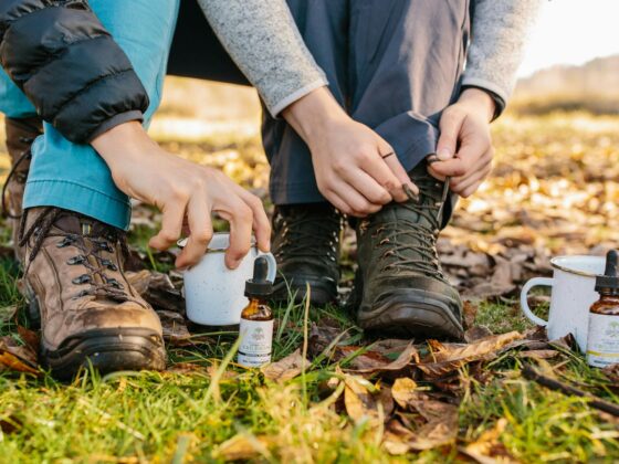 Die Rolle von CBD bei der Linderung von PTBS-Symptomen