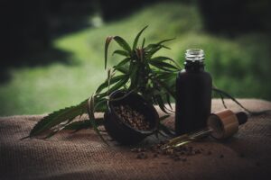 cbd öl, cbd öl, öl