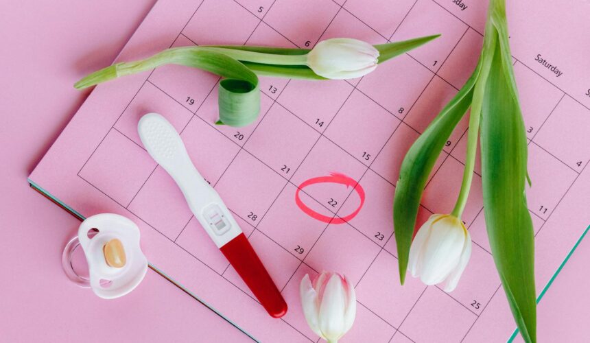 Pregnancy test on pink calendar with tulips, symbolizing fertility and new beginnings.