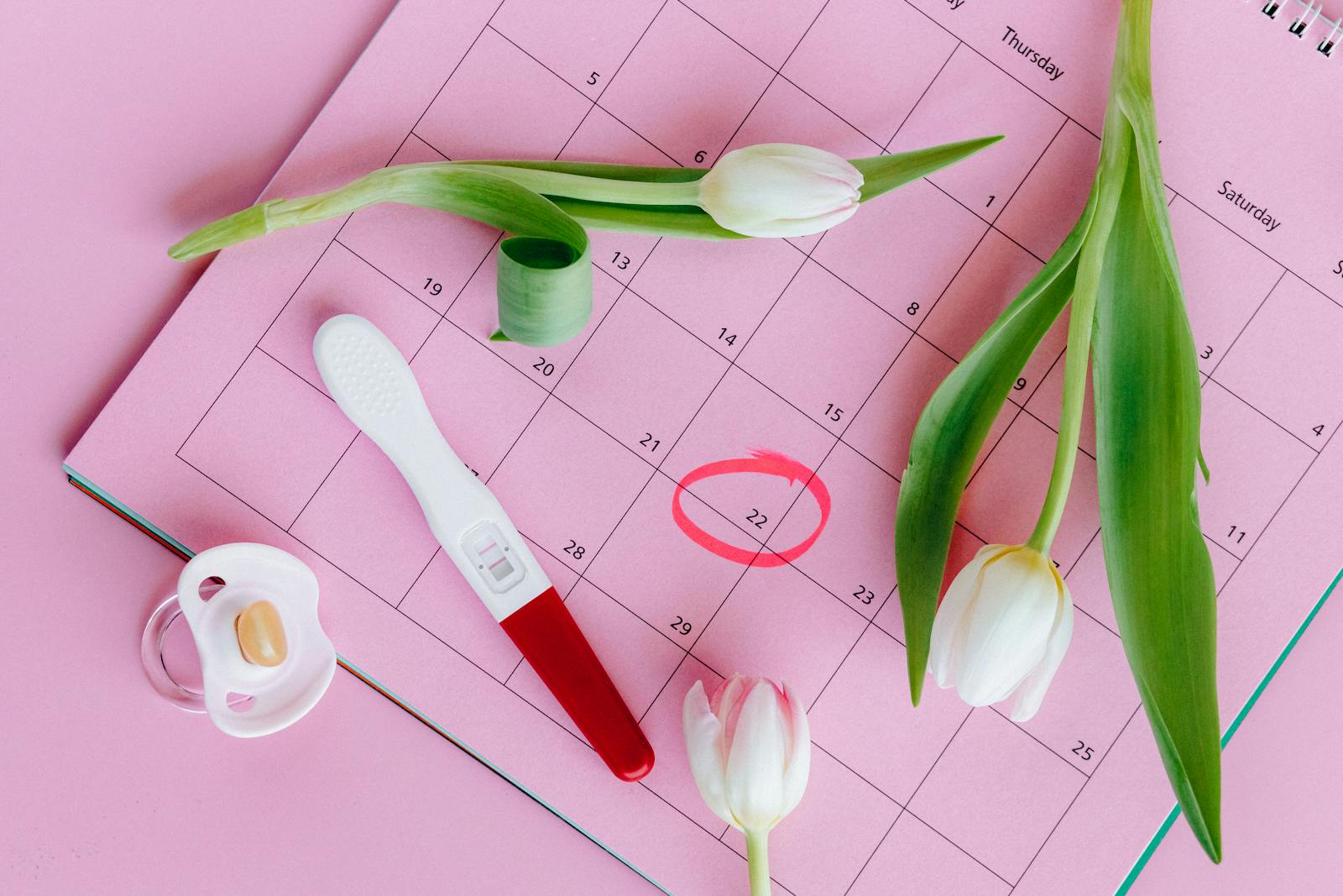 Test de grossesse sur calendrier rose avec des tulipes, symbolisant la fertilité et les nouveaux départs.