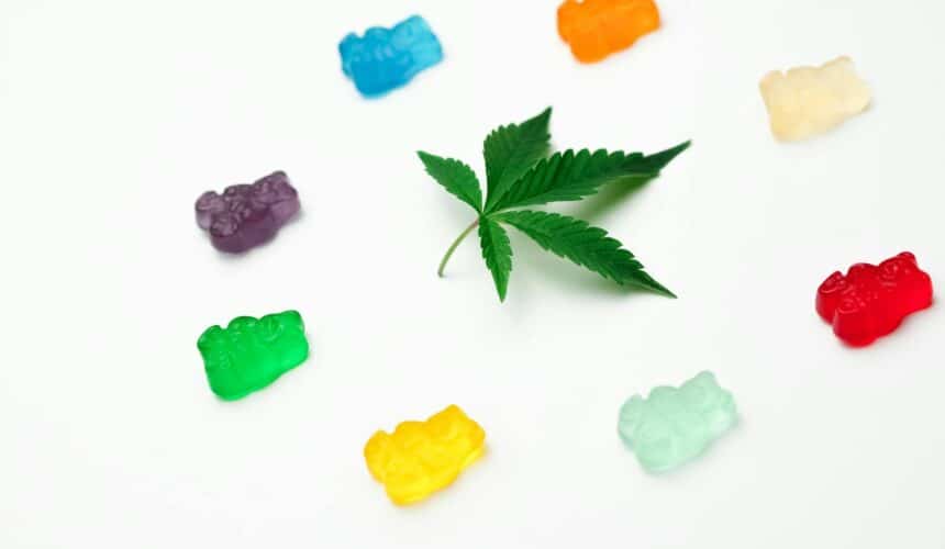 Bunte Auswahl an Gummibonbons rund um ein Cannabisblatt, kreativ präsentiert vor einem weißen Hintergrund.