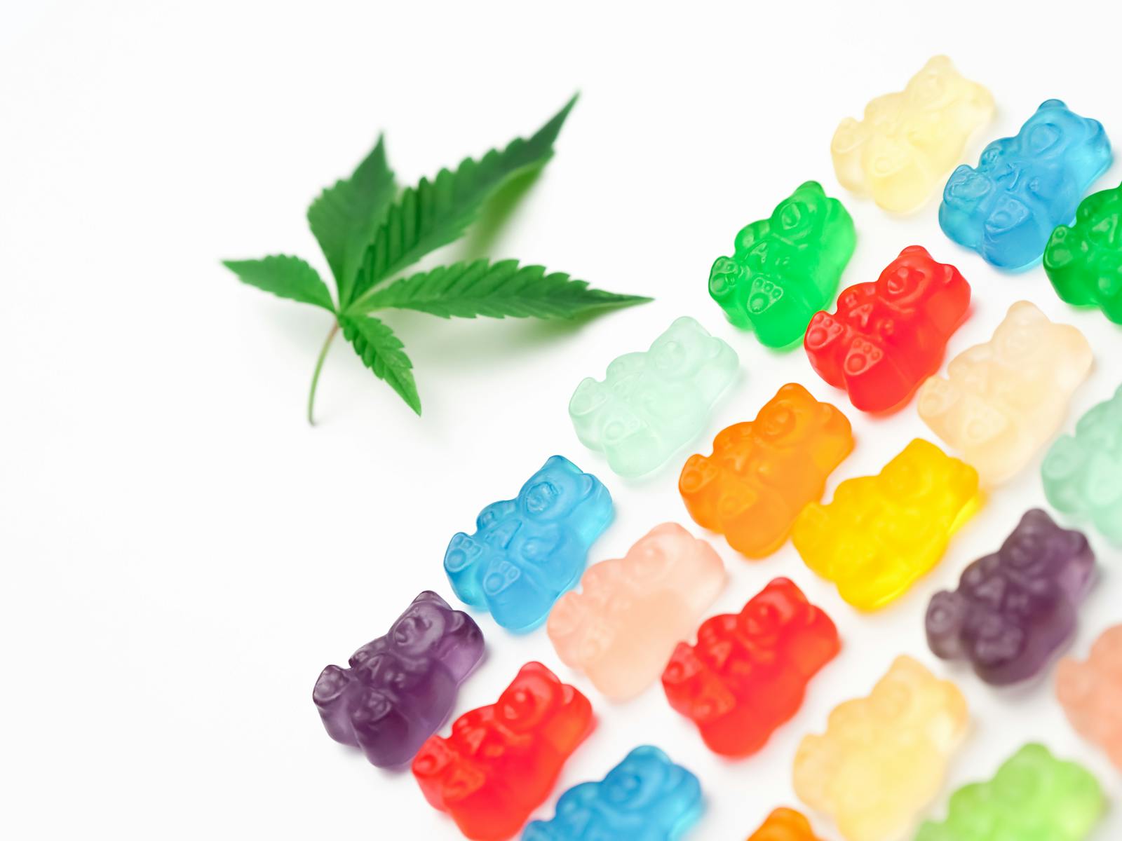 Des oursons en gélatine vibrants à côté d'une feuille de cannabis sur fond blanc, symbolisant les bonbons comestibles au cannabis.