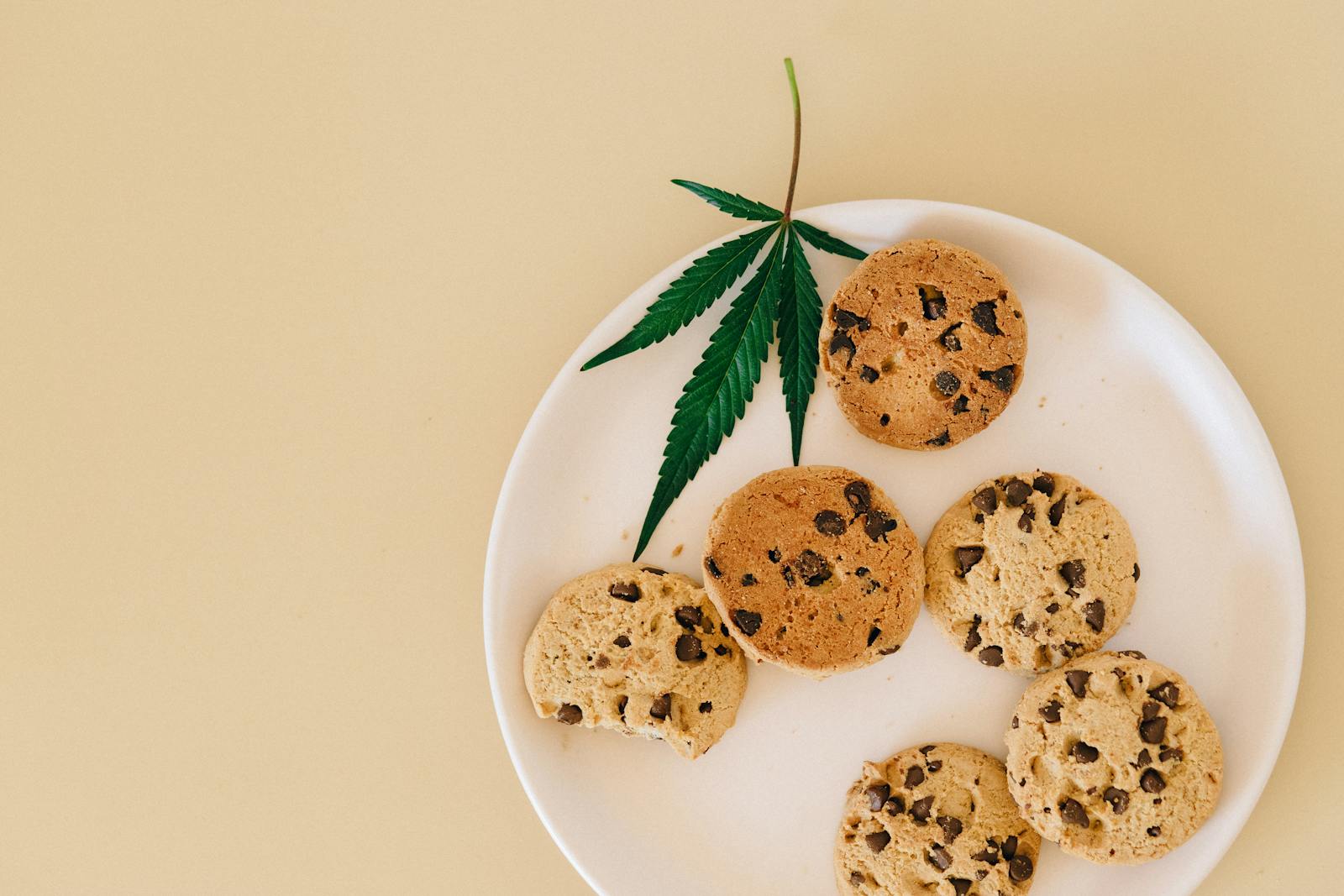 Galletas con chispas de chocolate y hojas de cannabis en un plato blanco sobre un fondo liso.